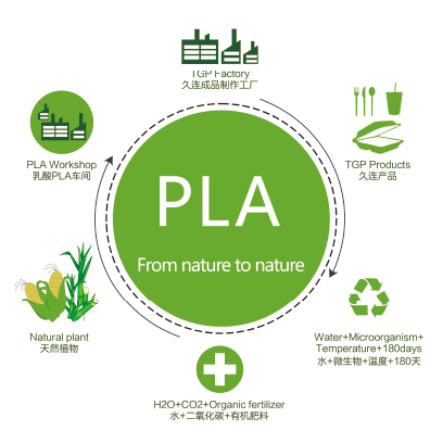 Know More About Polylactic Acid (PLA) Materials